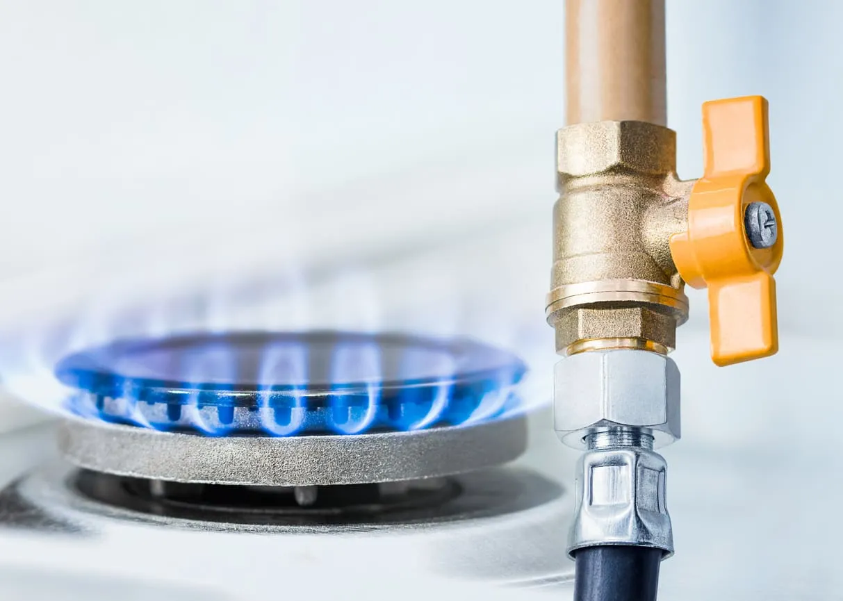 Natural Gas